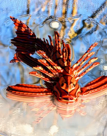 Poisson lion, impression 3d, 3d opale.fr