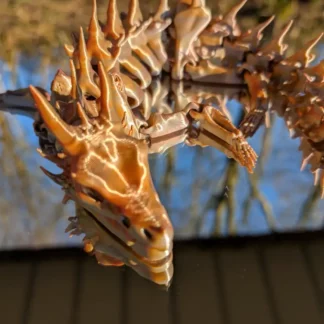 Squelette de dragon, impression 3d, 3d-opale.fr
