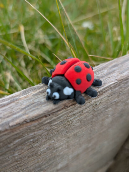 coccinelle, impression 3D, 3d-opale.fr