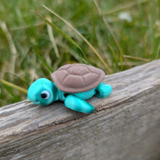 Shelly la tortue, impression 3d, 3d-opale.fr