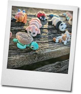 Photokako polaroid 7nwDCyFSB8rpYAW3