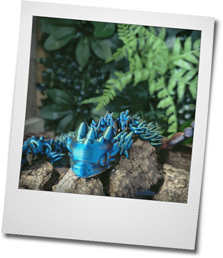 Photokako polaroid li9jPgadWI4pX8Yi