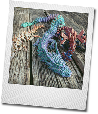 Photokako polaroid qSR5cZhGjP2cyx12