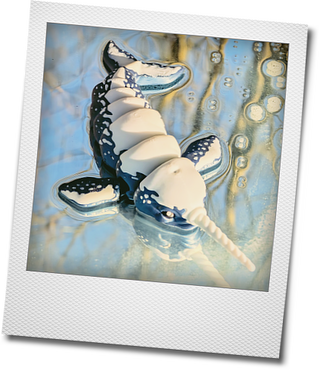 Photokako polaroid sdeoC9KyXAcBFzAh